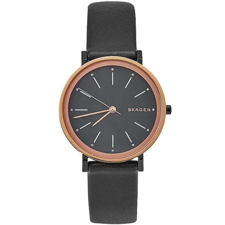 Часы наручные Skagen SKW2490