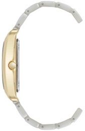 Часы наручные Anne Klein AK/5290GPIV