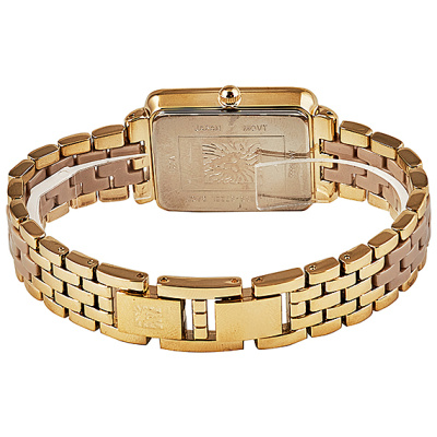 Часы наручные Anne Klein AK/3668TNGB