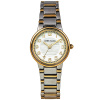 Часы наручные Anne Klein AK/3605MPTT