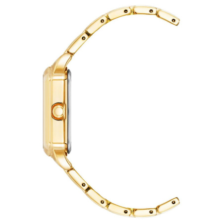 Часы наручные Anne Klein AK/4062CHGB