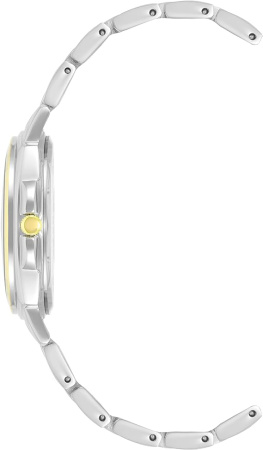 Часы наручные Anne Klein AK/4055WTTT