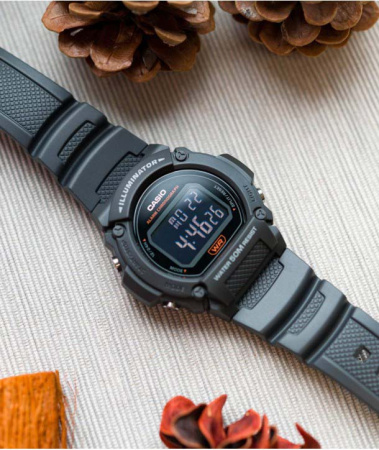 Часы наручные Casio W-219H-8BVEF