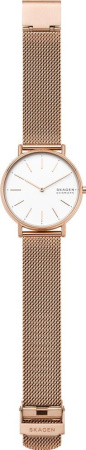 Часы наручные Skagen SKW2784