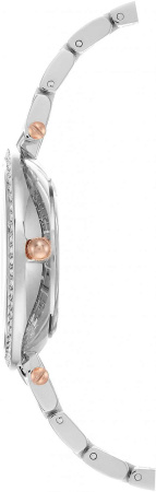 Часы наручные Anne Klein AK/2231SVRT