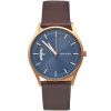 Часы наручные Skagen SKW6395