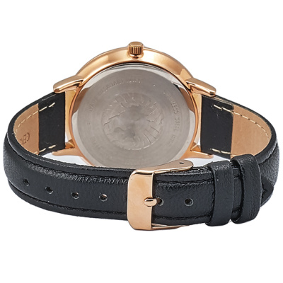 Часы наручные Anne Klein AK/3252RGBK