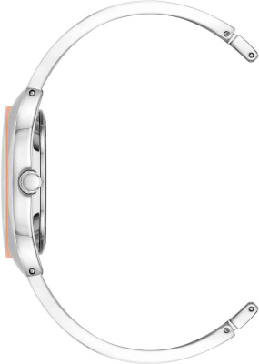 Часы наручные Anne Klein AK/4041SVMV