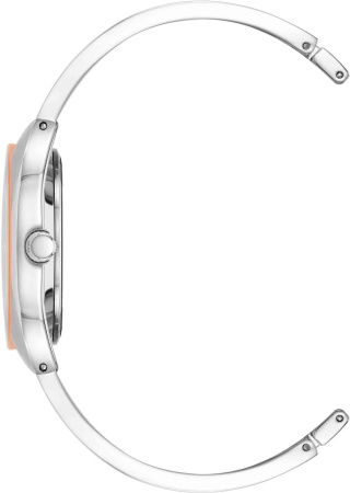 Часы наручные Anne Klein AK/4041SVMV