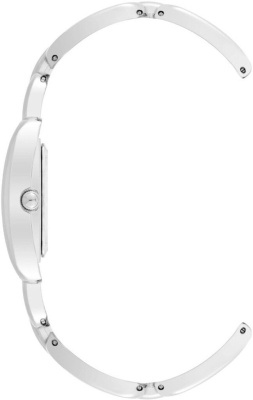 Часы наручные Anne Klein AK/4095SVSV