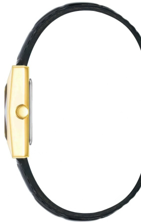 Часы наручные Anne Klein AK/5014GPBK