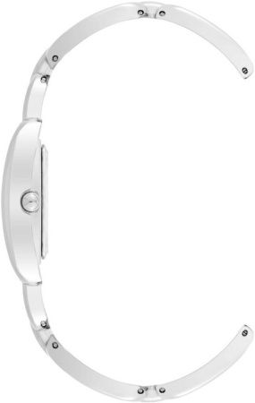 Часы наручные Anne Klein AK/4095SVSV