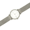 Часы наручные Skagen SKW2692