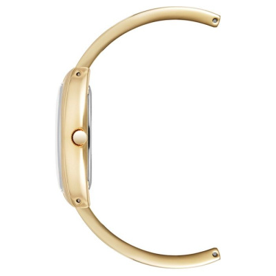 Часы наручные Anne Klein AK/5238WTGB