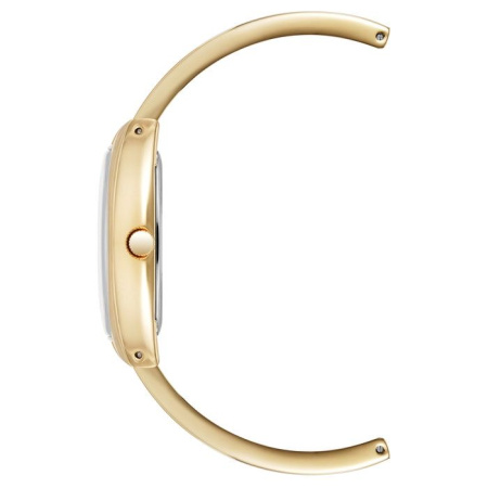 Часы наручные Anne Klein AK/5238WTGB