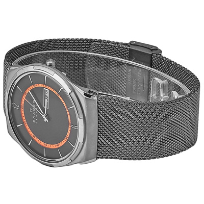 Часы наручные Skagen SKW6007