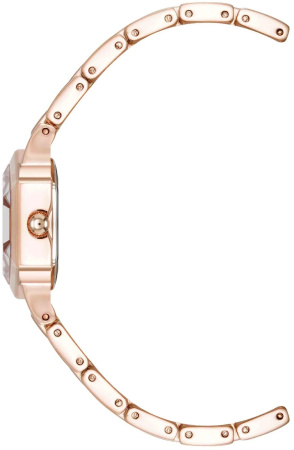 Часы наручные Anne Klein AK/5106RGRG