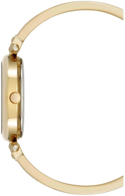 Часы наручные Anne Klein AK/5118WTGB
