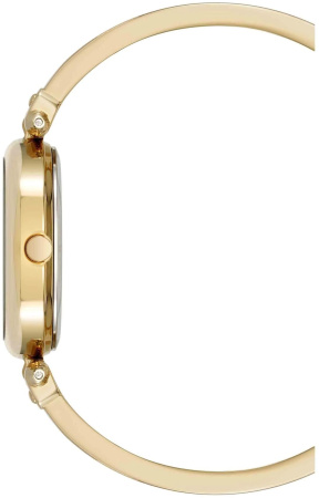 Часы наручные Anne Klein AK/5118WTGB