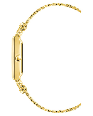 Часы наручные Anne Klein AK/3882CHGB 