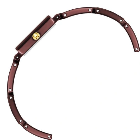 Часы наручные Anne Klein AK/4080BNBN