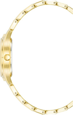 Часы наручные Anne Klein AK/4060CHGB