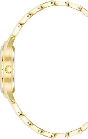 Часы наручные Anne Klein AK/4060CHGB