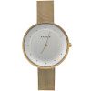 Часы наручные Skagen SKW2141