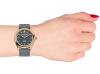 Часы наручные Frederique Constant FC-286LGS3B4 Часы наручные Frederique Constant FC-286LGS3B4
