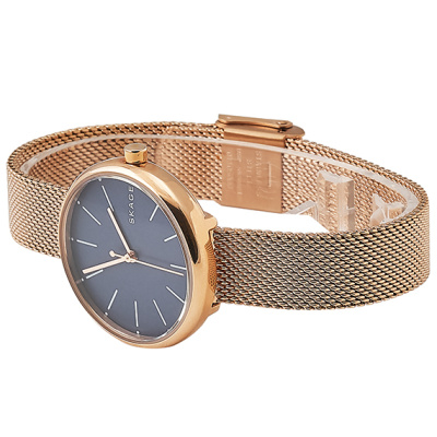 Часы наручные Skagen SKW2593