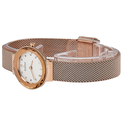 Часы наручные Skagen SKW2799