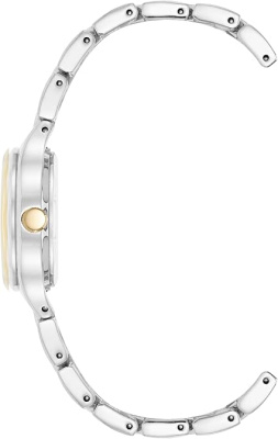 Часы наручные Anne Klein AK/5333SVTT 