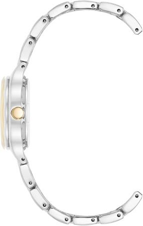 Часы наручные Anne Klein AK/5333SVTT 
