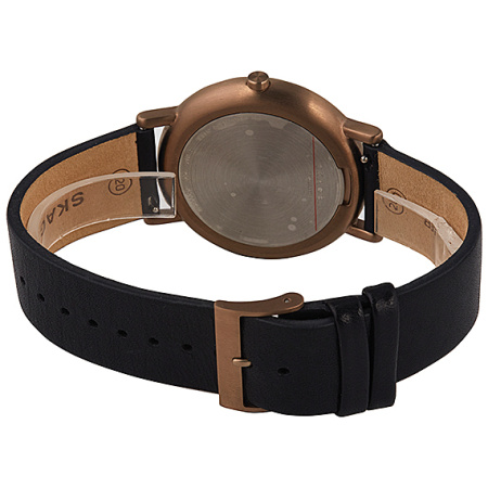 Часы наручные Skagen SKW6401 Часы наручные Skagen SKW6401