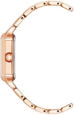 Часы наручные Anne Klein AK/4062RGRG