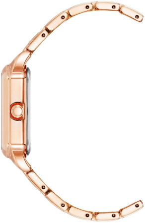 Часы наручные Anne Klein AK/4062RGRG