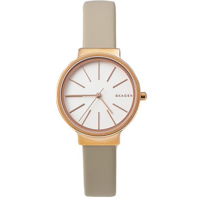 Часы наручные Skagen SKW2481