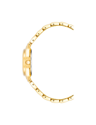 Часы наручные Anne Klein 10/5490MPGB