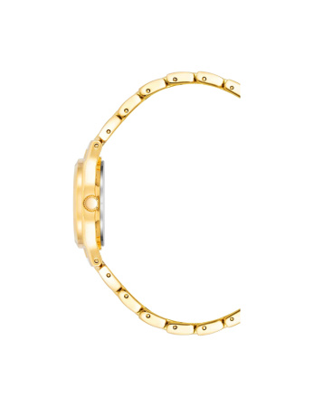Часы наручные Anne Klein 10/5490MPGB