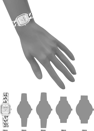 Часы наручные Anne Klein AK/4003SVSV