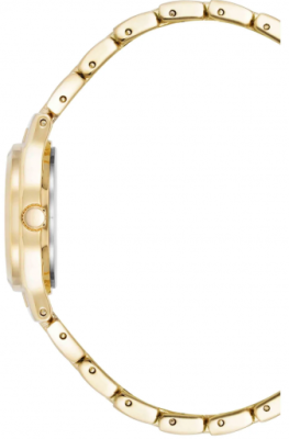 Часы наручные Anne Klein 10/5490MVGB