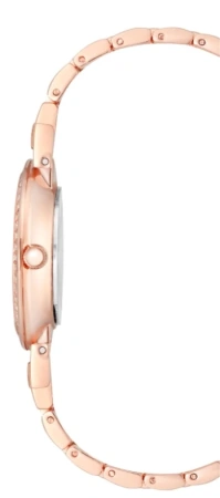 Часы наручные Anne Klein AK/2928TPRG