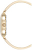 Часы наручные Anne Klein AK/5110INST