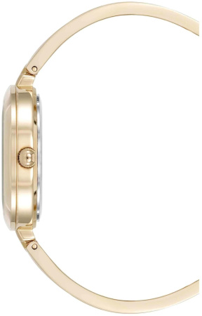 Часы наручные Anne Klein AK/5110INST