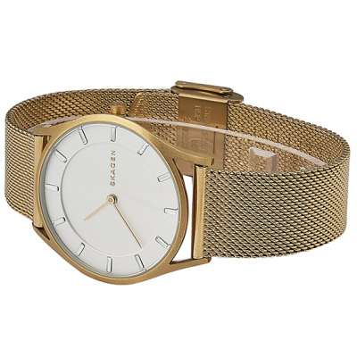 Часы наручные Skagen SKW2377