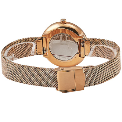 Часы наручные Skagen SKW2593