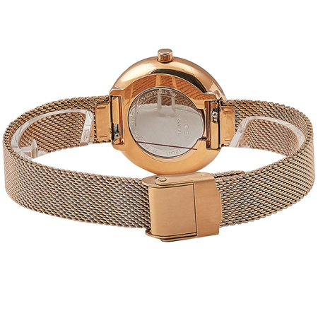 Часы наручные Skagen SKW2593