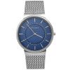 Часы наручные Skagen SKW6234 Часы наручные Skagen SKW6234