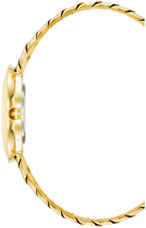 Часы наручные Anne Klein AK/4100MPGB