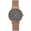 Часы наручные Skagen SKW2675 Часы наручные Skagen SKW2675
